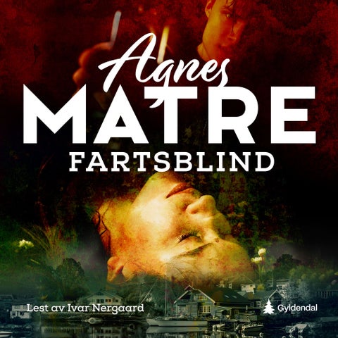 Fartsblind - kriminalroman