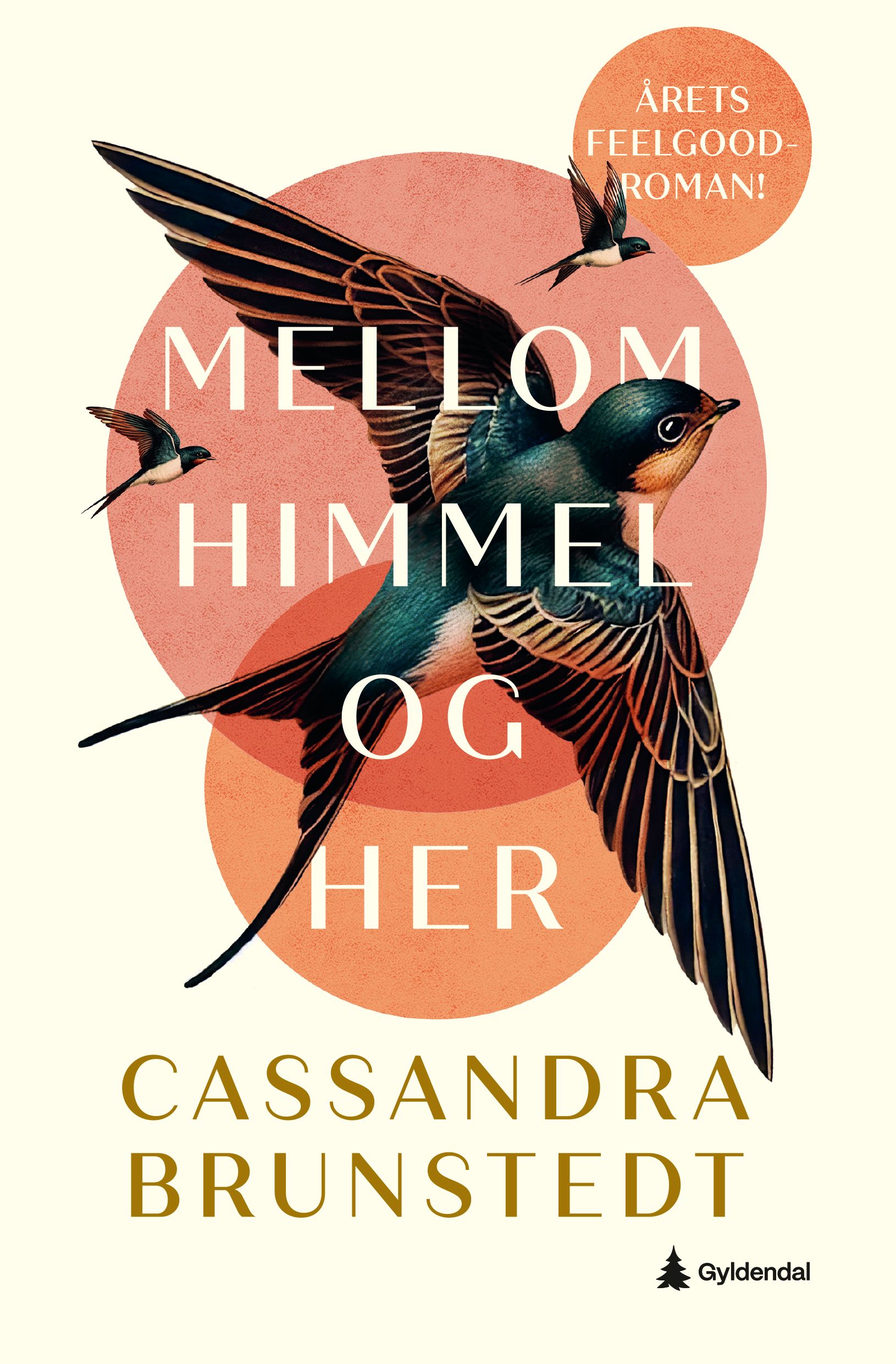 Mellom himmel og her