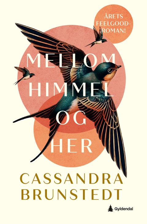 Mellom himmel og her