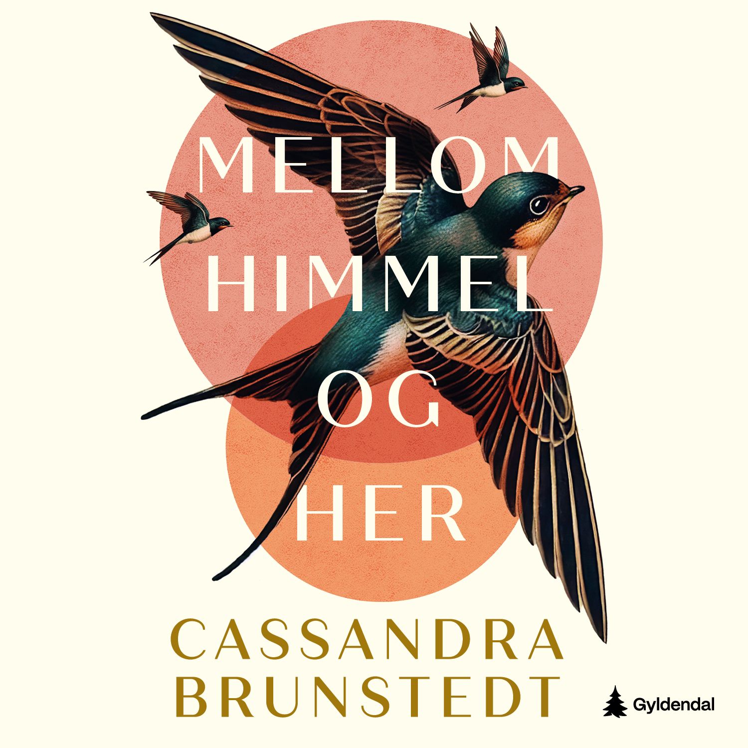 Mellom himmel og her