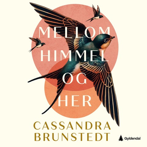 Mellom himmel og her