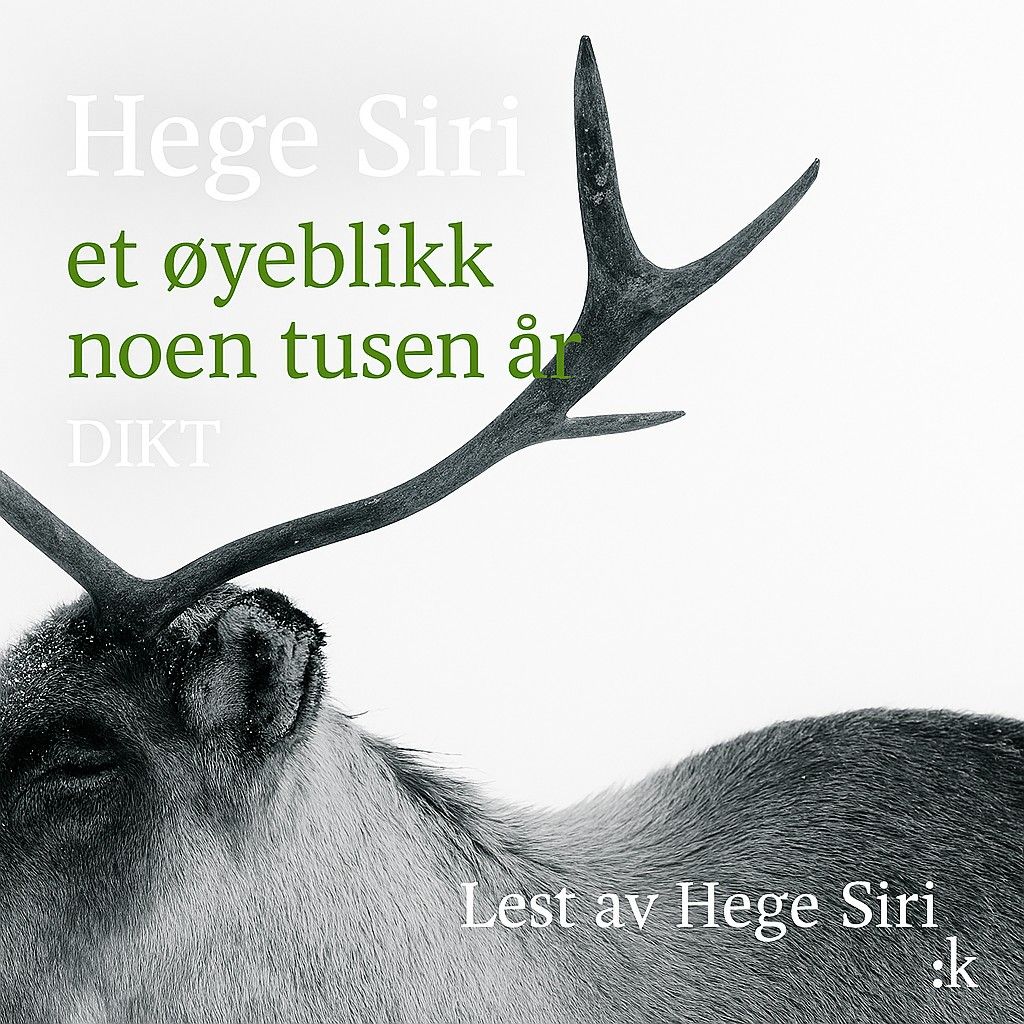 Et øyeblikk noen tusen år - dikt