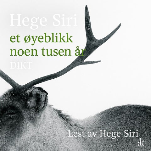 Et øyeblikk noen tusen år - dikt