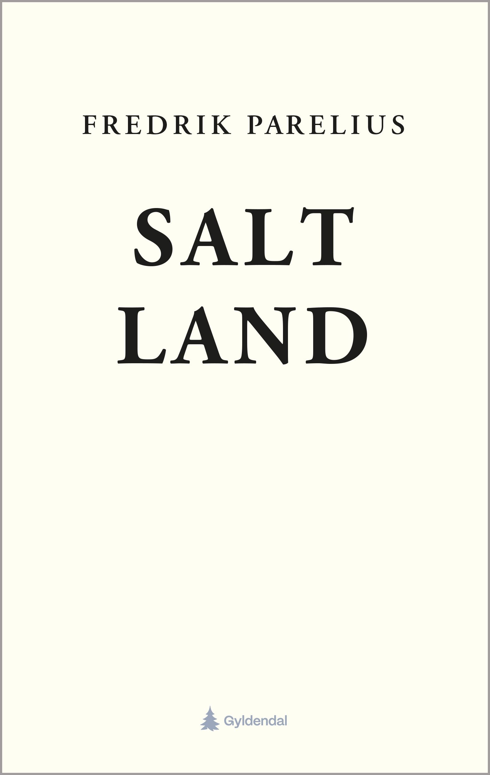 Salt/Land - dikt