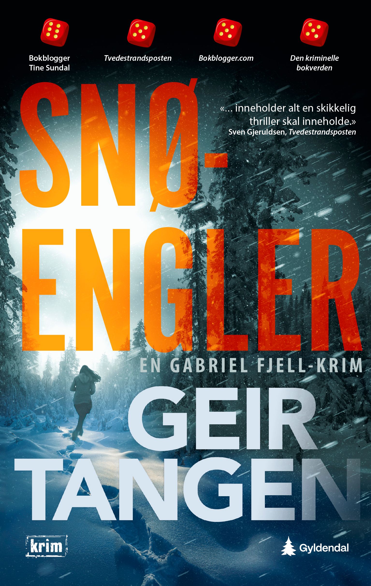 Snøengler - kriminalroman