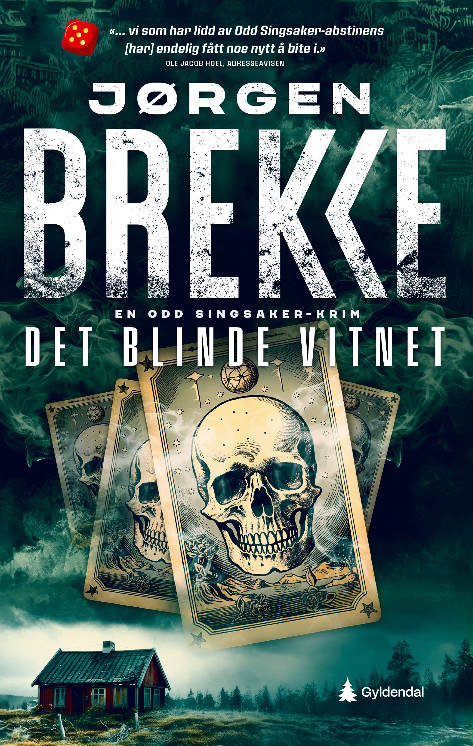 Det blinde vitnet - en Odd Singsaker-krim