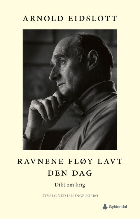 Ravnene fløy lavt den dag - dikt om krig