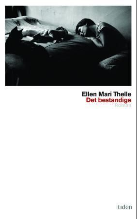 Det bestandige - roman