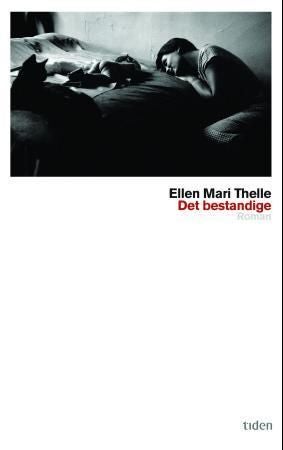 Det bestandige - roman