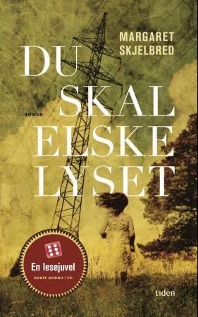 Du skal elske lyset - roman