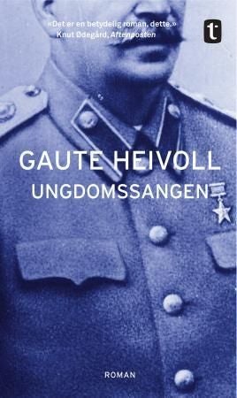 Ungdomssangen - roman