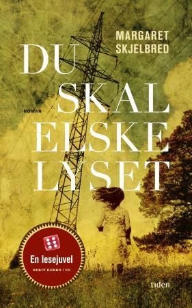 Du skal elske lyset - roman