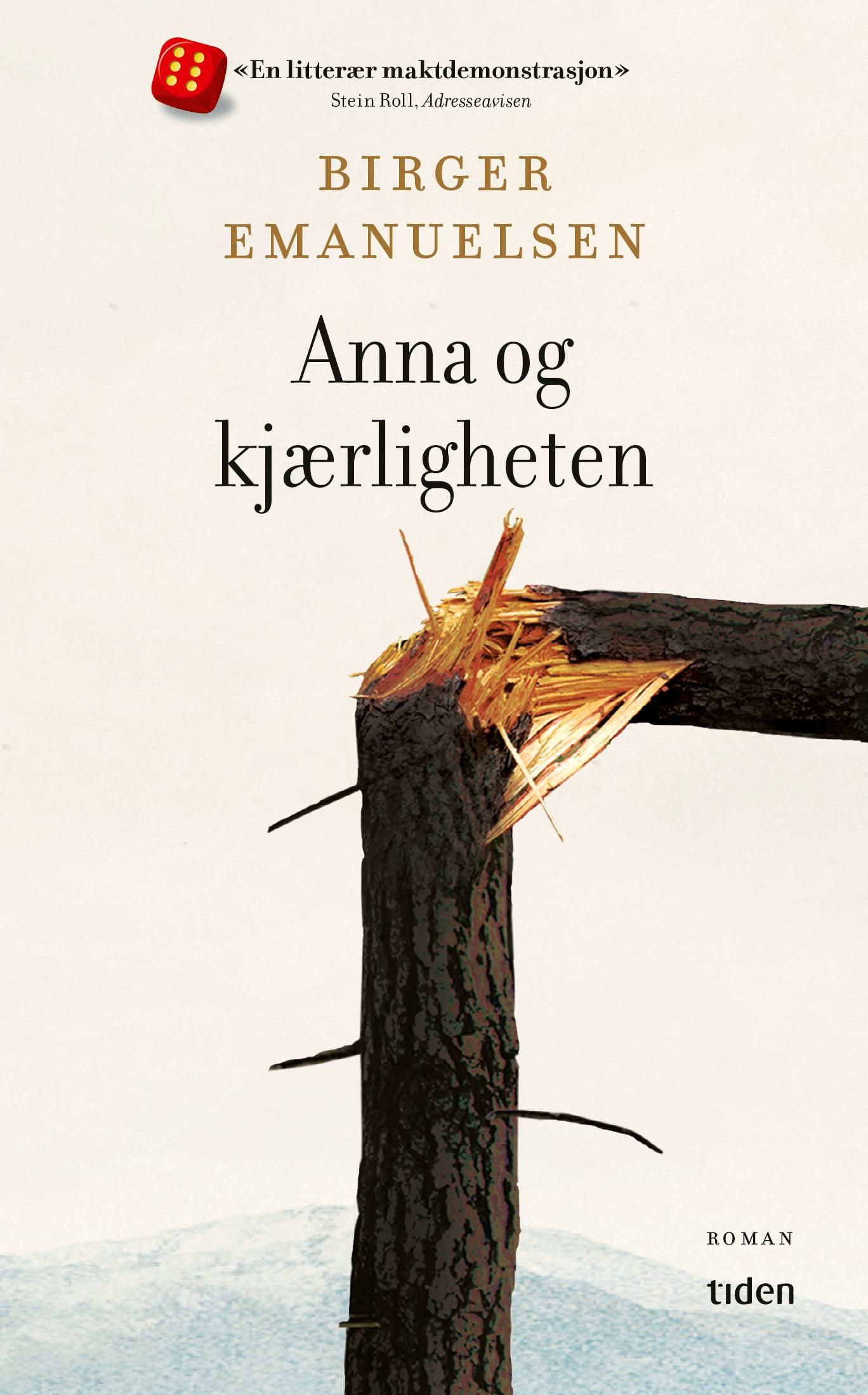 Anna og kjærligheten - roman