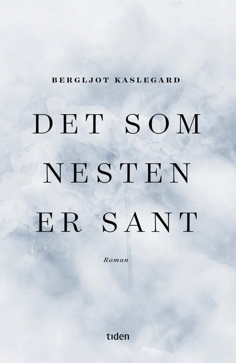 Det som nesten er sant - roman