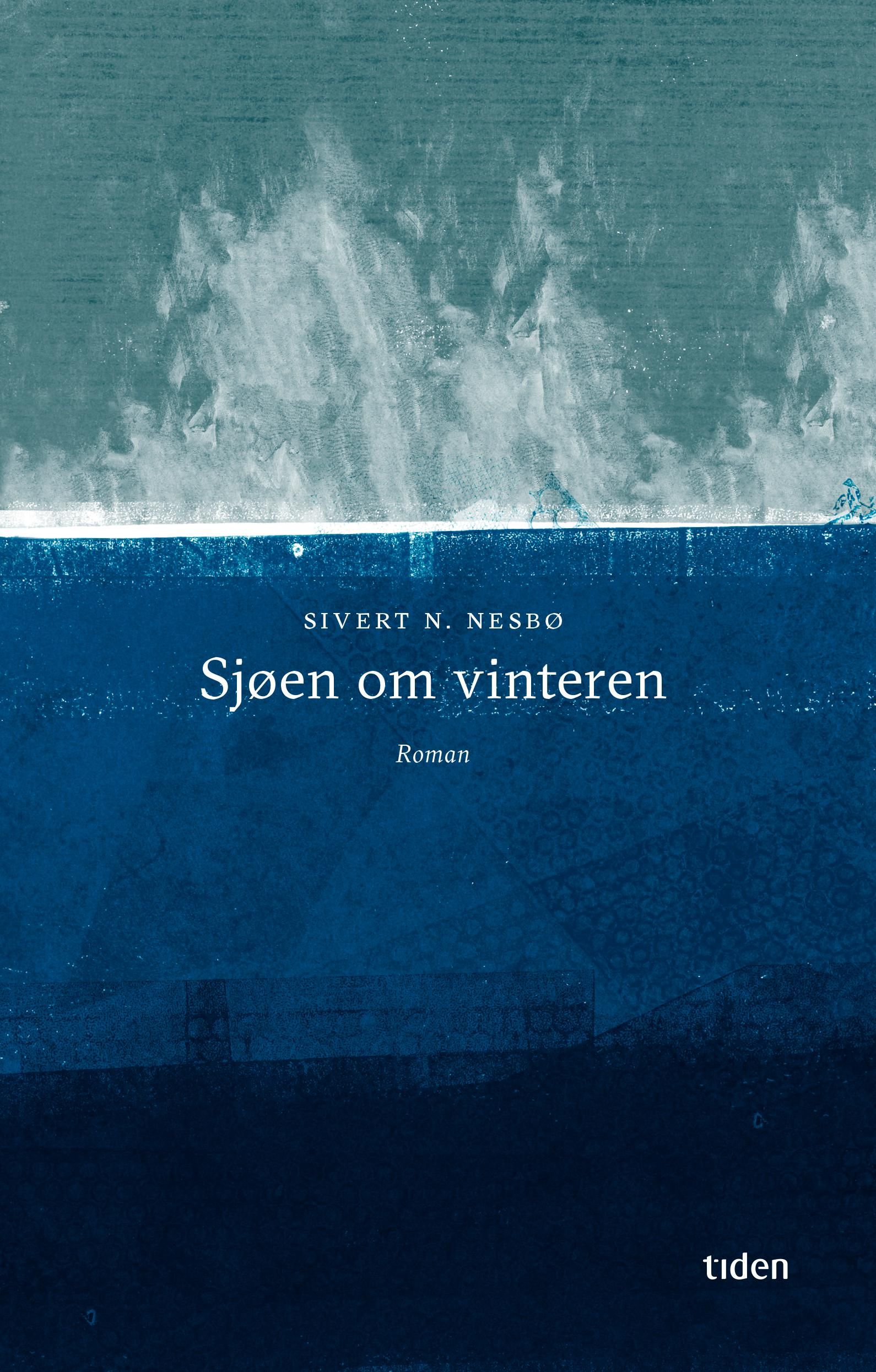 Sjøen om vinteren - roman