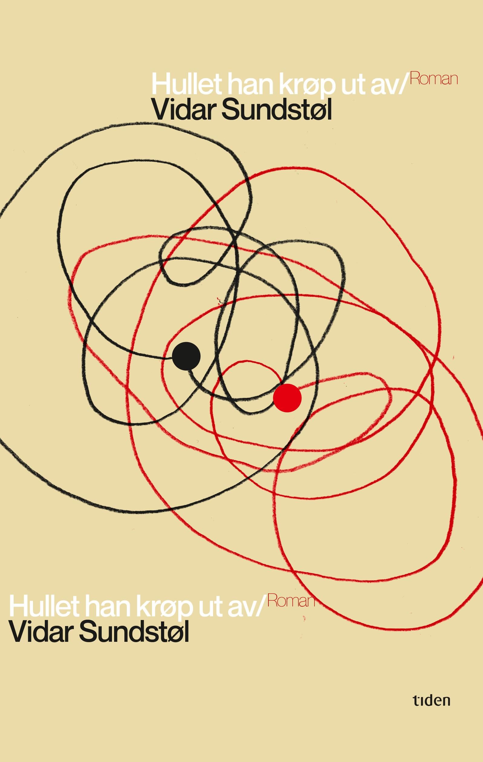 Hullet han krøp ut av - roman