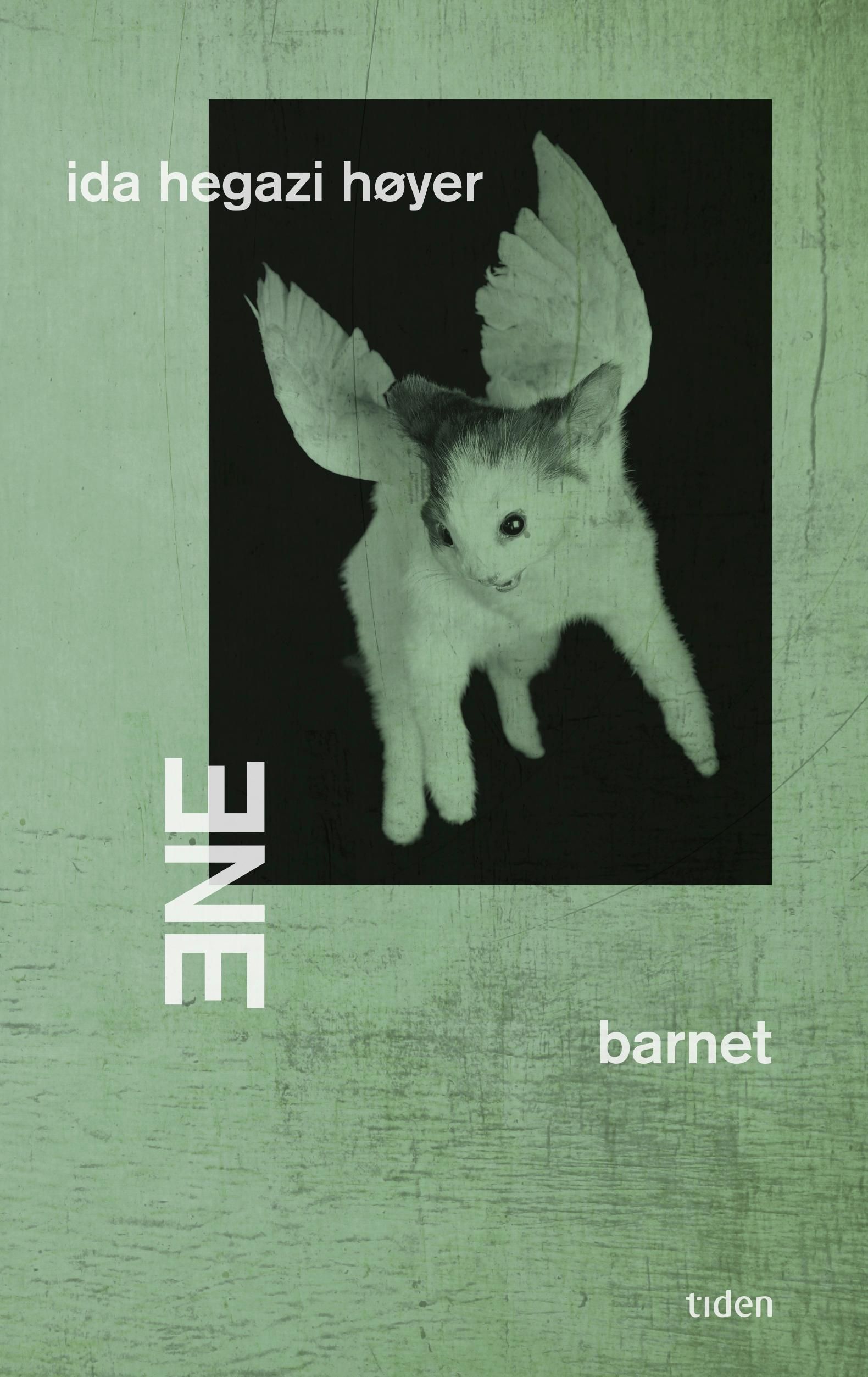 Ene | barnet - roman