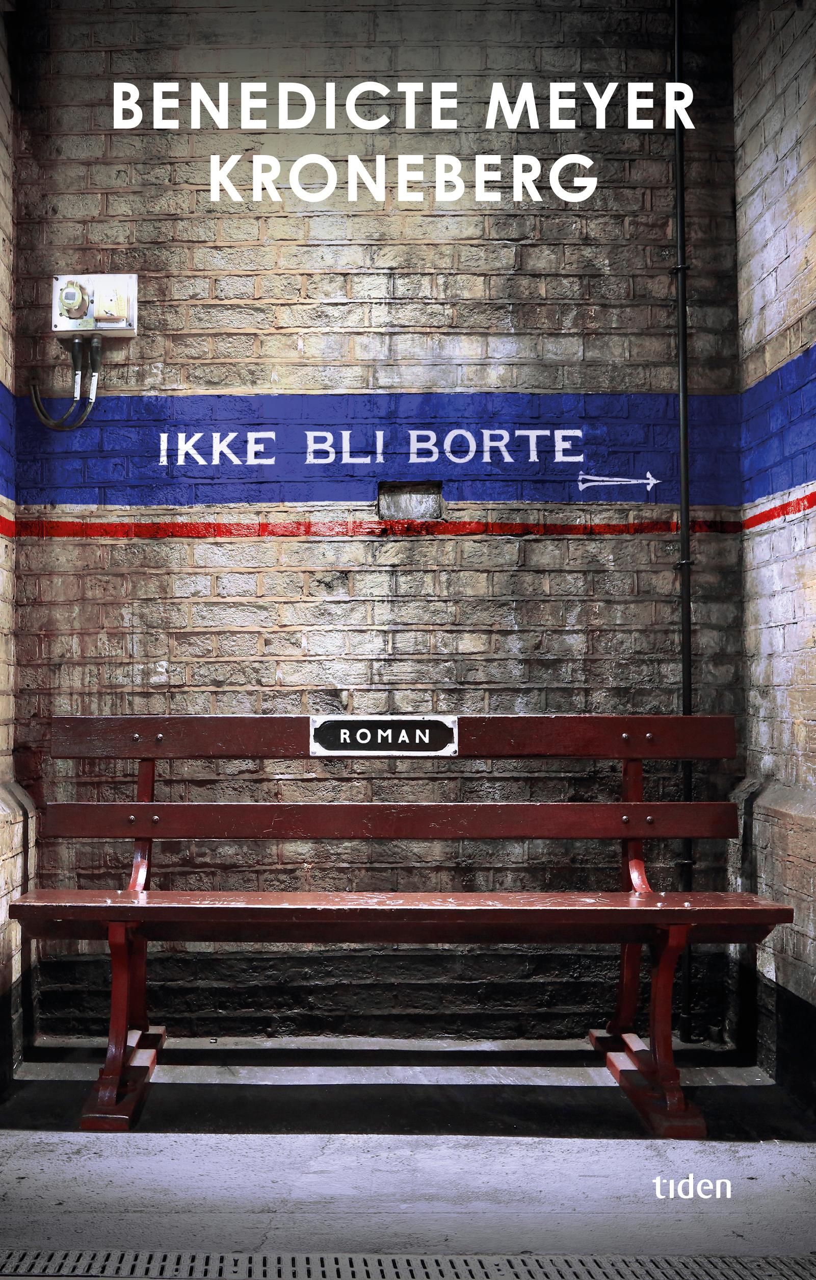 Ikke bli borte - roman