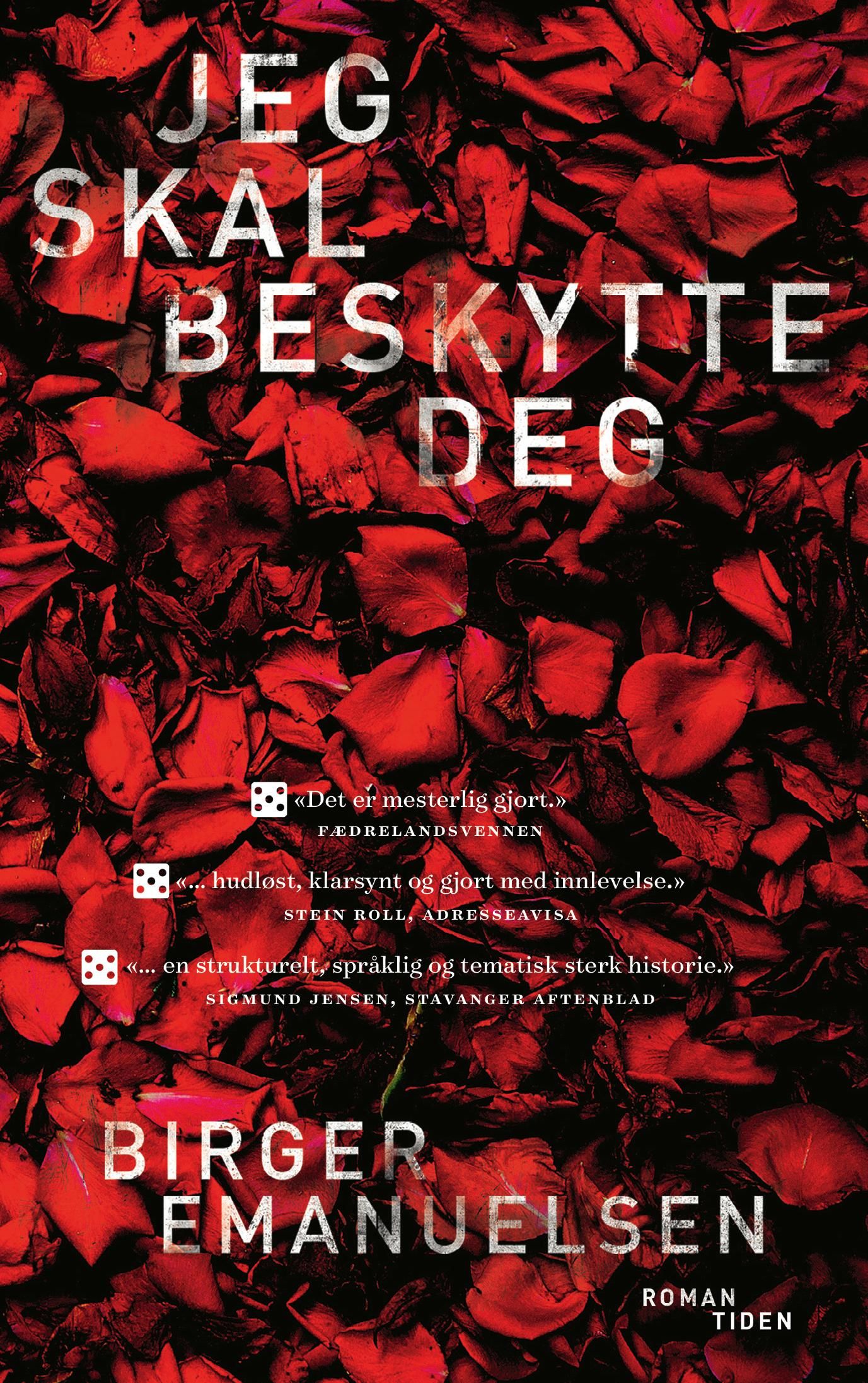 Jeg skal beskytte deg - roman