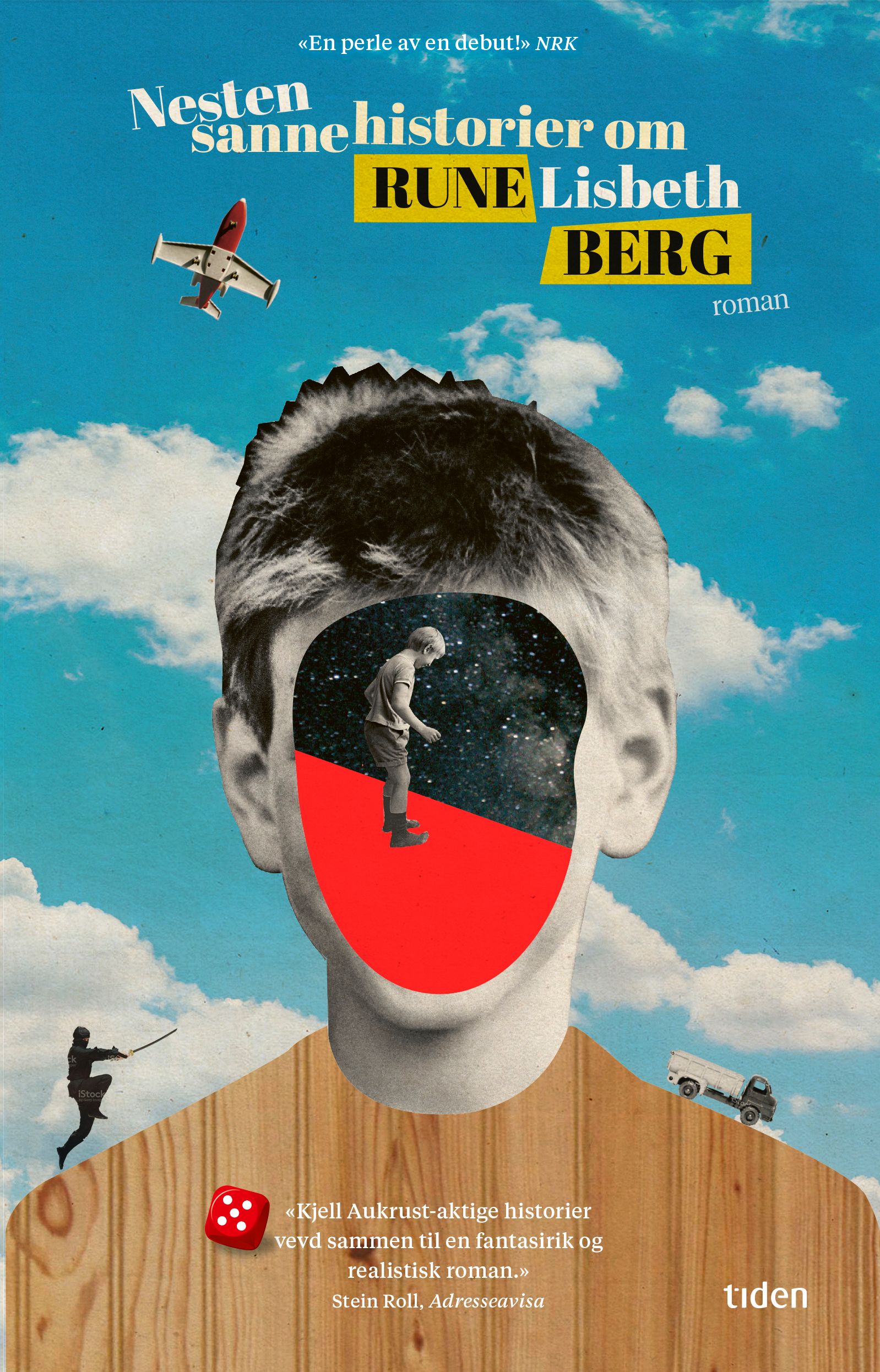 Nesten sanne historier om Rune Lisbeth Berg - roman