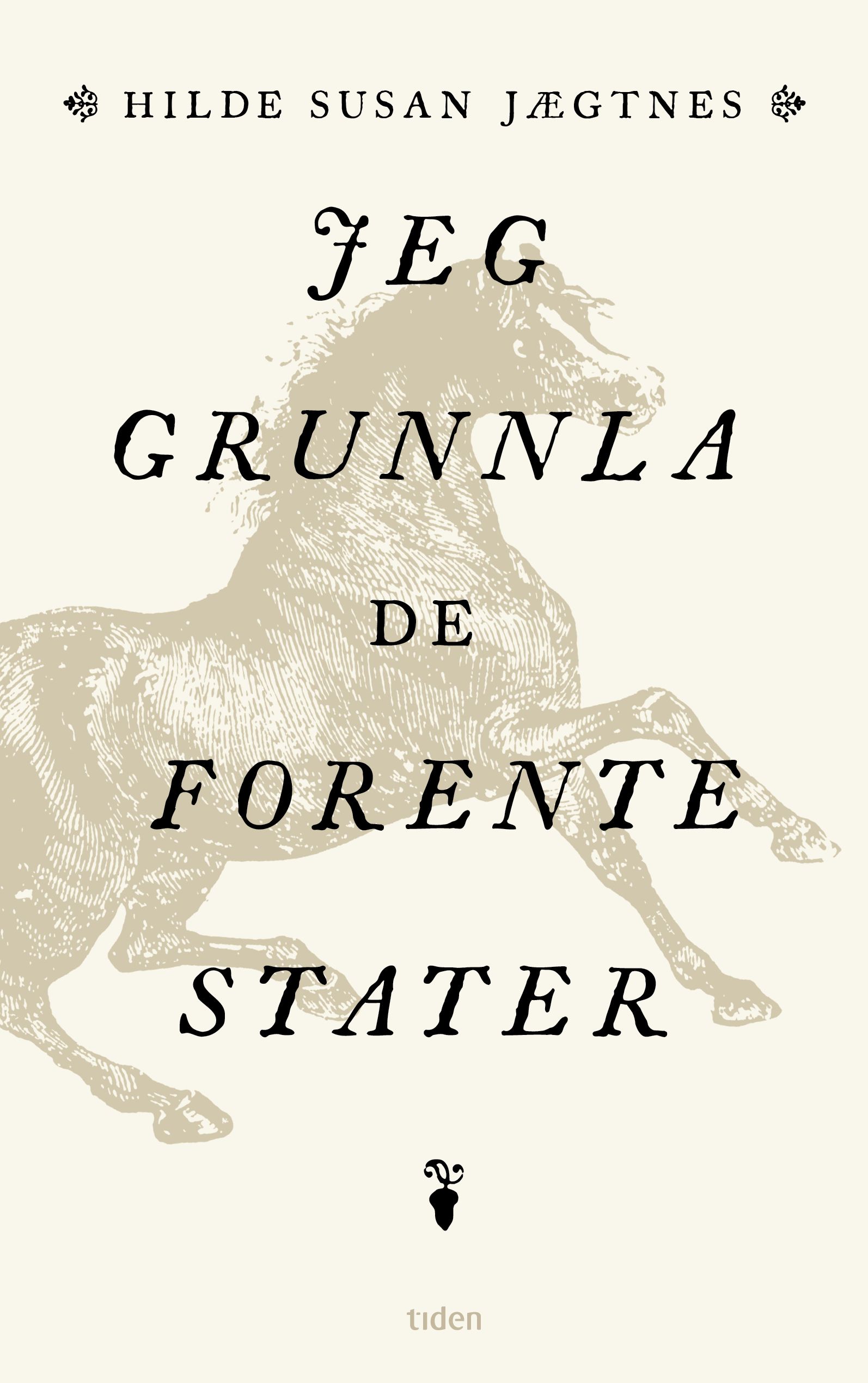 Jeg grunnla De forente stater - roman