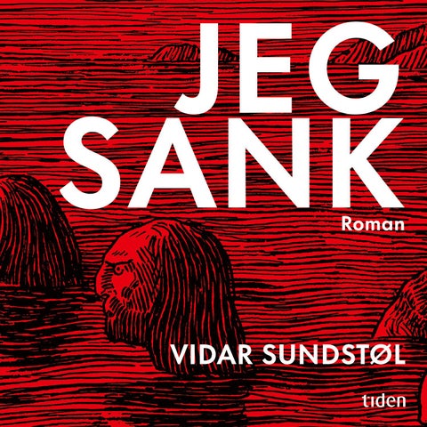 Jeg sank - roman