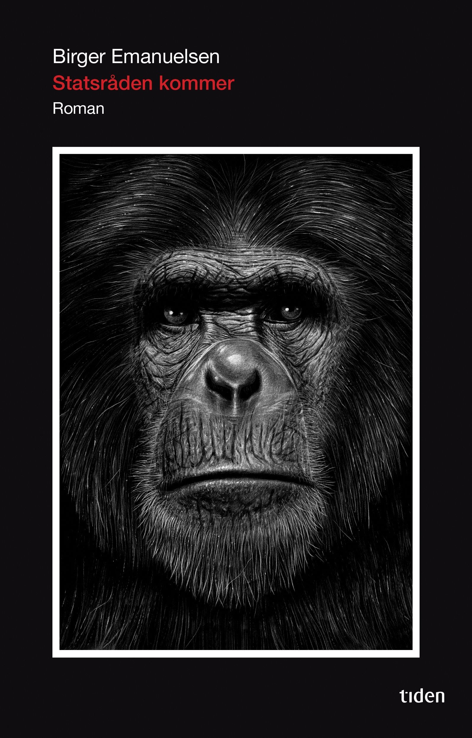 Statsråden kommer - roman