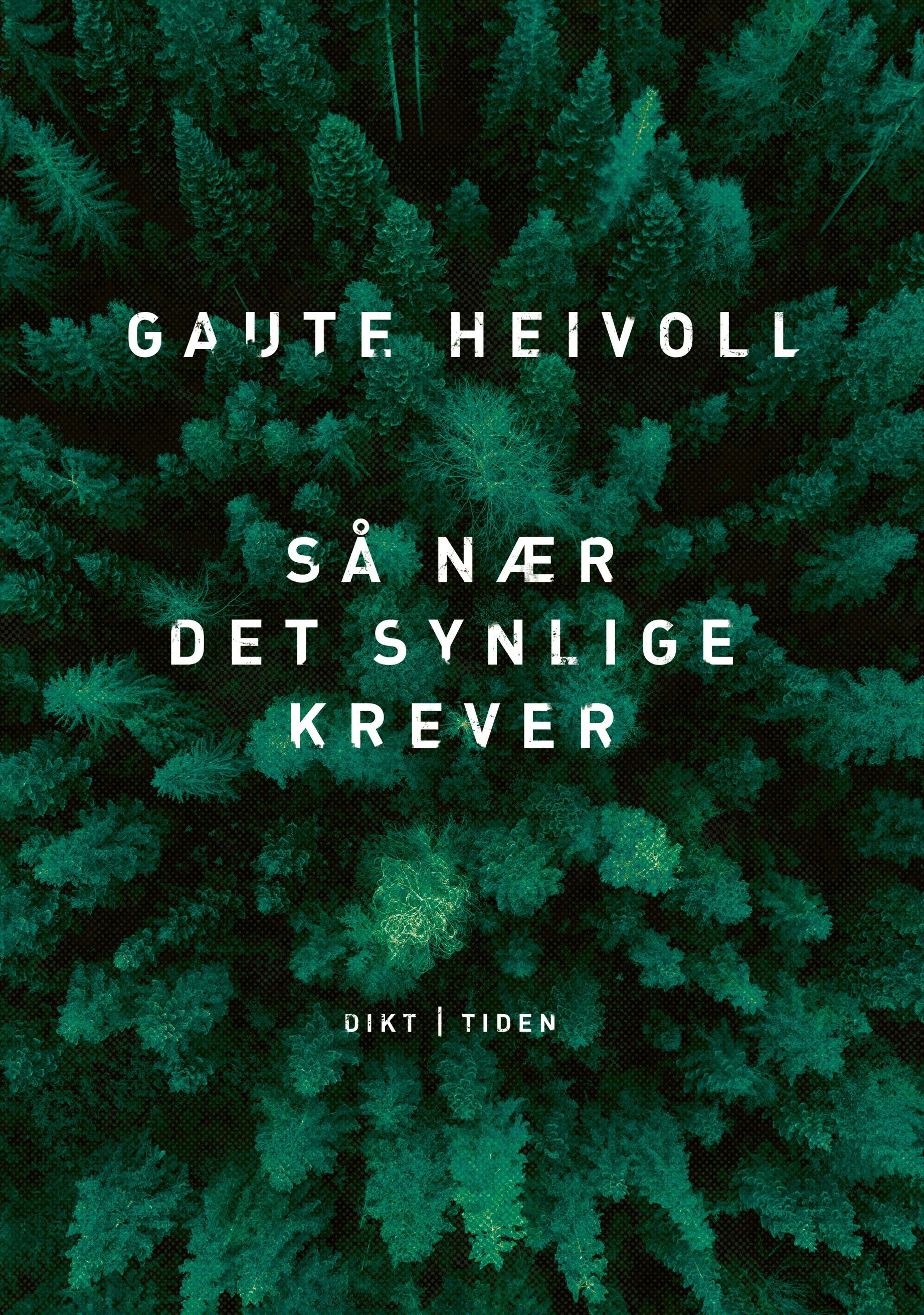 Så nær det synlige krever - dikt