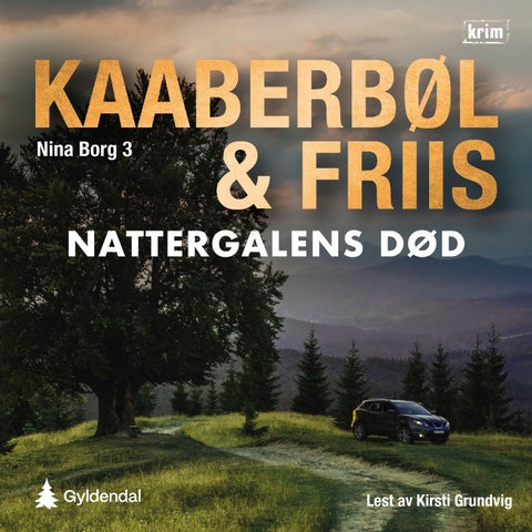 Nattergalens død - en Nina Borg-krim