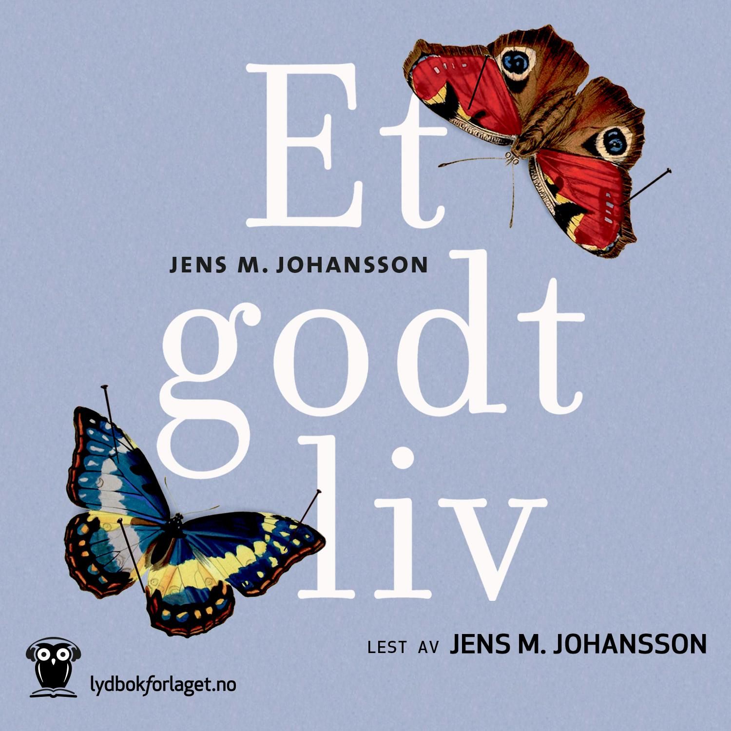 Et godt liv - roman