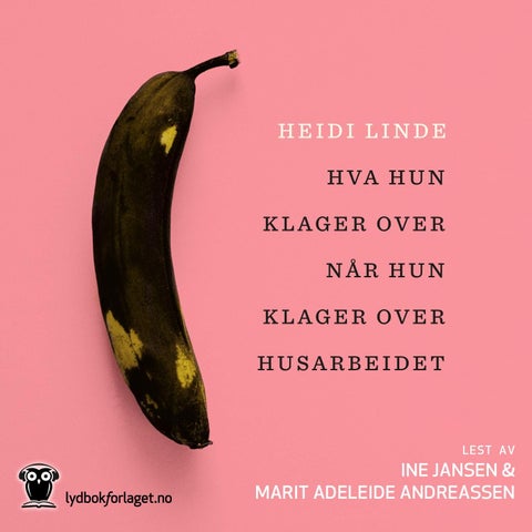 Hva hun klager over når hun klager over husarbeidet - roman