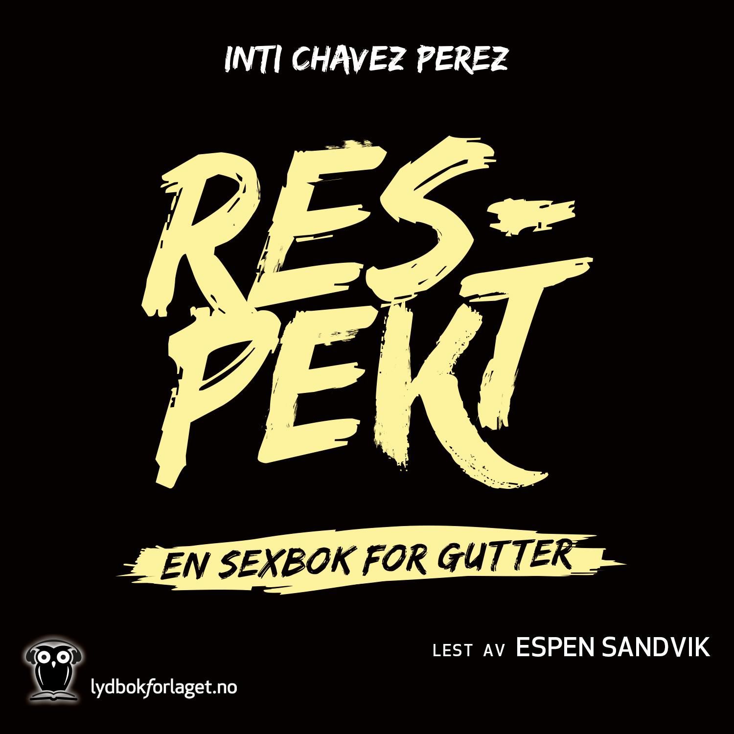 Respekt - en sexbok for gutter