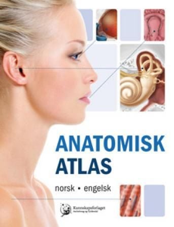 Anatomisk atlas - norsk, engelsk