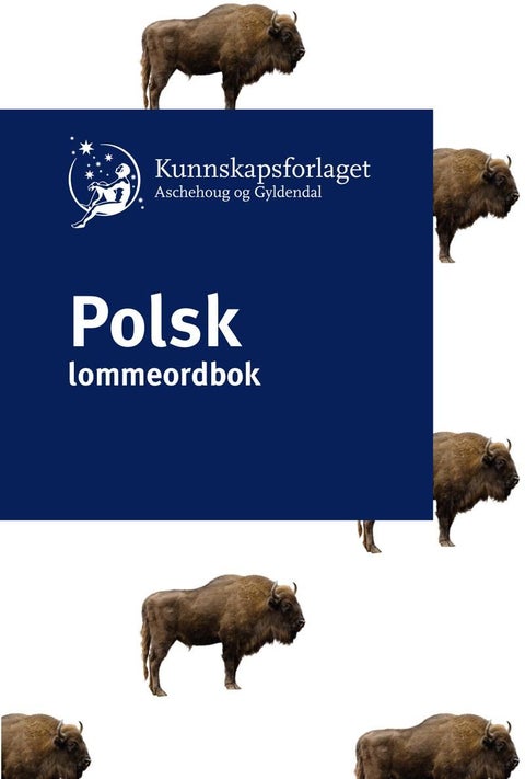 Polsk lommeordbok - polsko-norweski, norwesko-polski