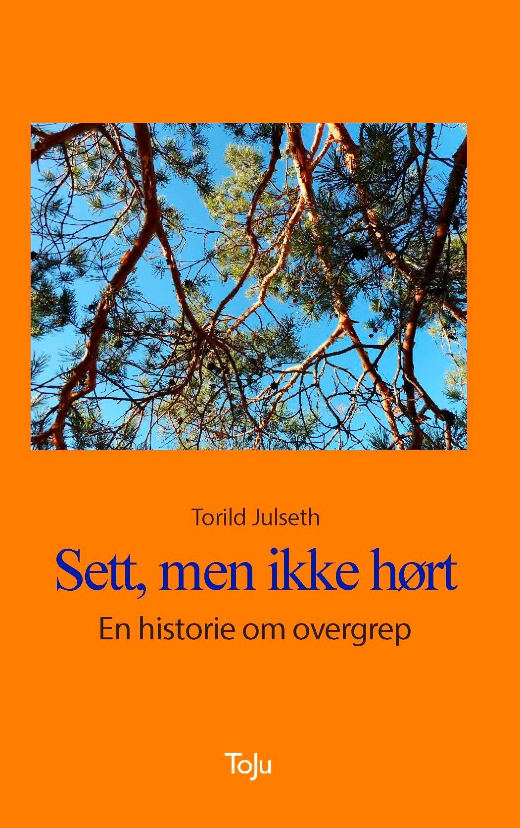 Sett, men ikke hørt - en historie om overgrep