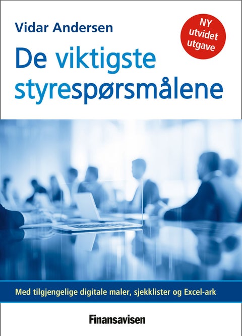 De viktigste styrespørsmålene