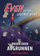 Broen over avgrunnen