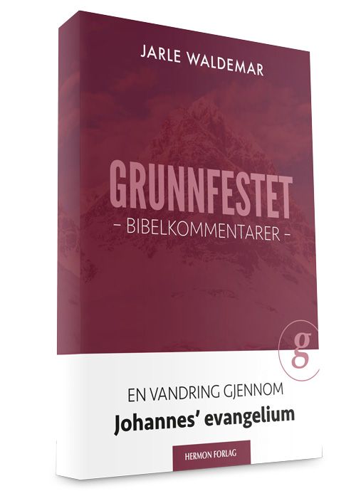 Grunnfestet - bibelkommentarer : en vandring gjennom Johannes' evangelium