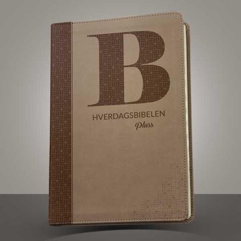 Hverdagsbibelen pluss