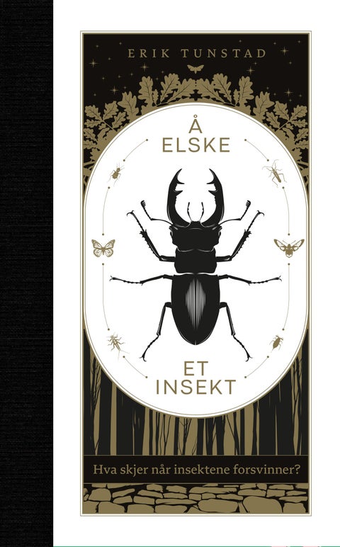 Å elske et insekt - hva skjer når insektene forsvinner?