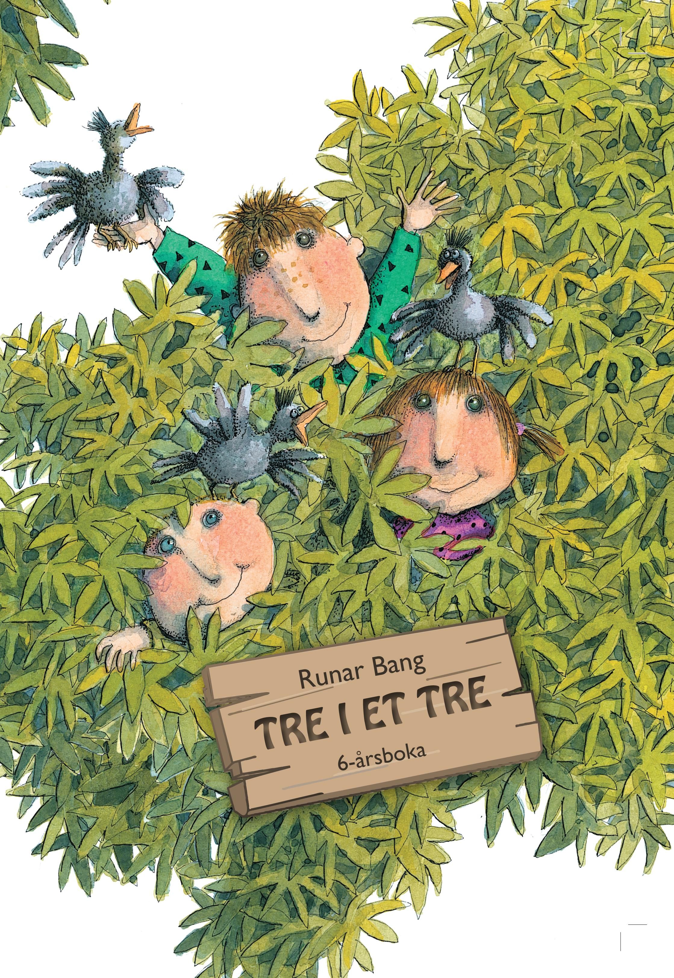 Tre i et tre - 6-årsboka