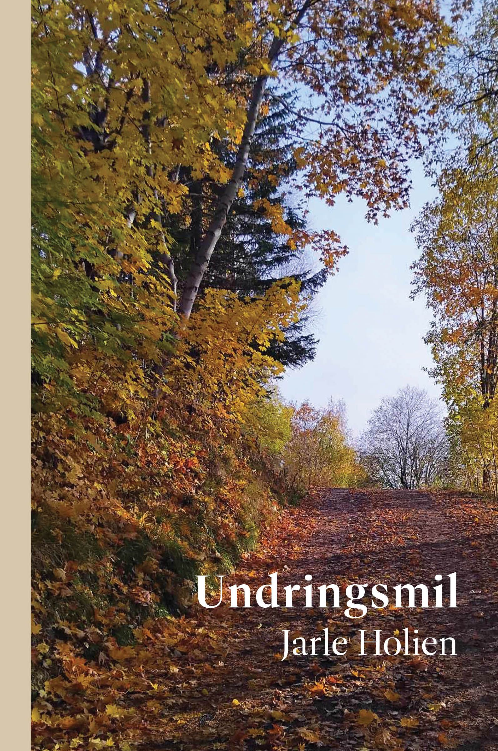 Undringsmil