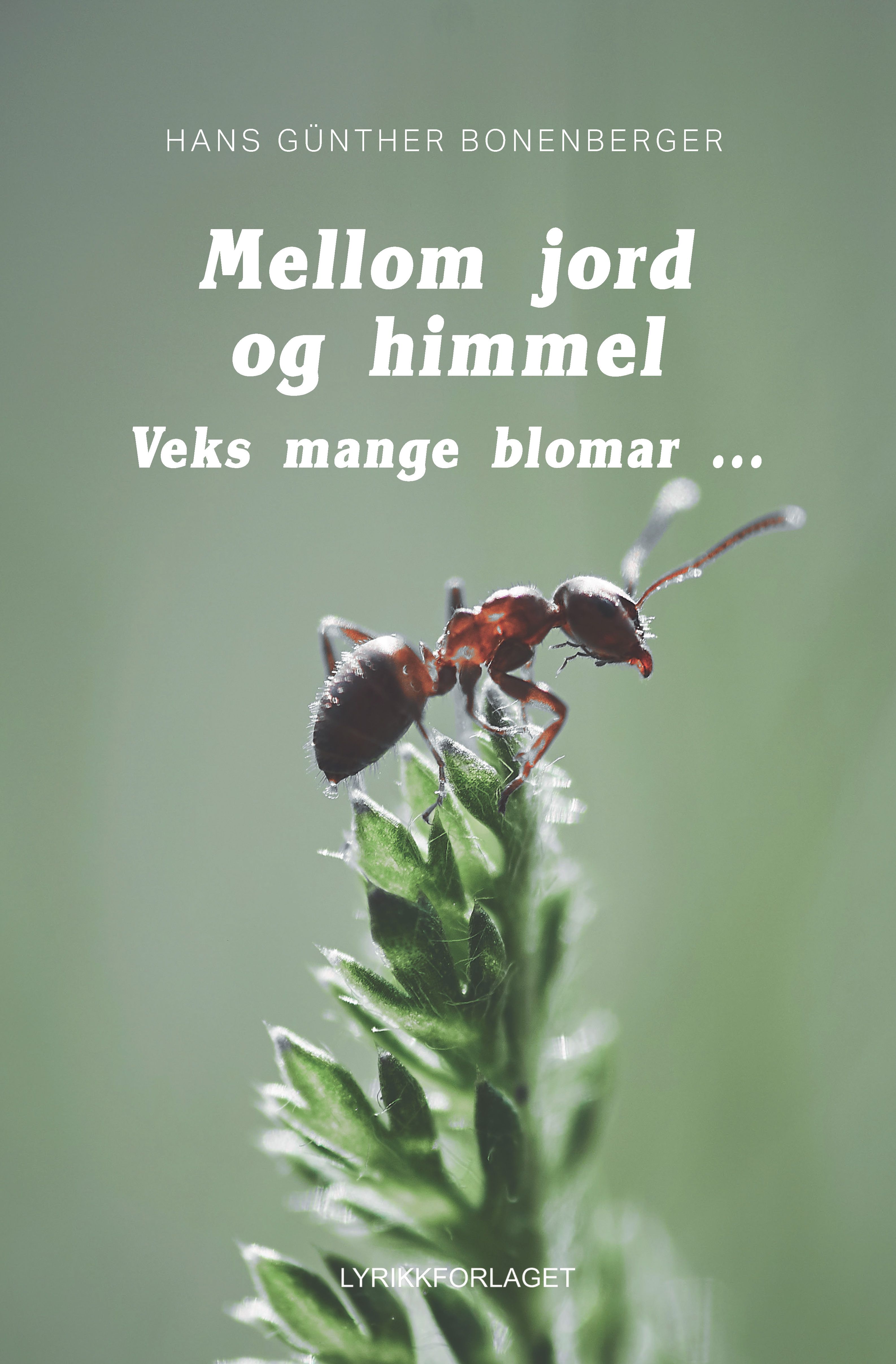 Mellom jord og himmel - veks mange blomar ...