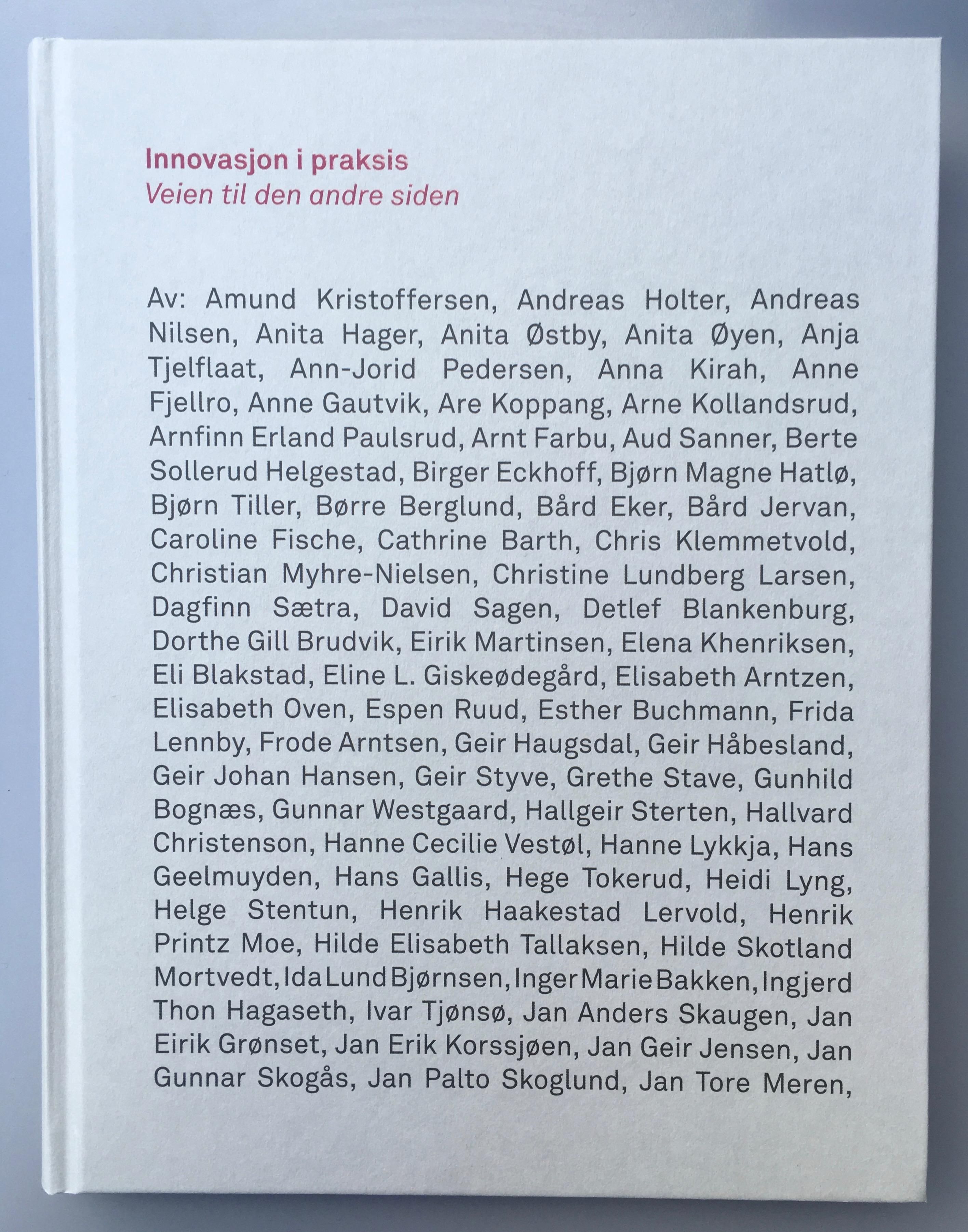 Innovasjon i praksis - veien til den andre siden