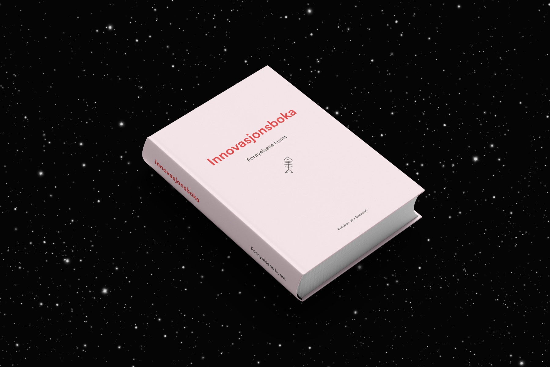 Innovasjonsboka - fornyelsens kunst