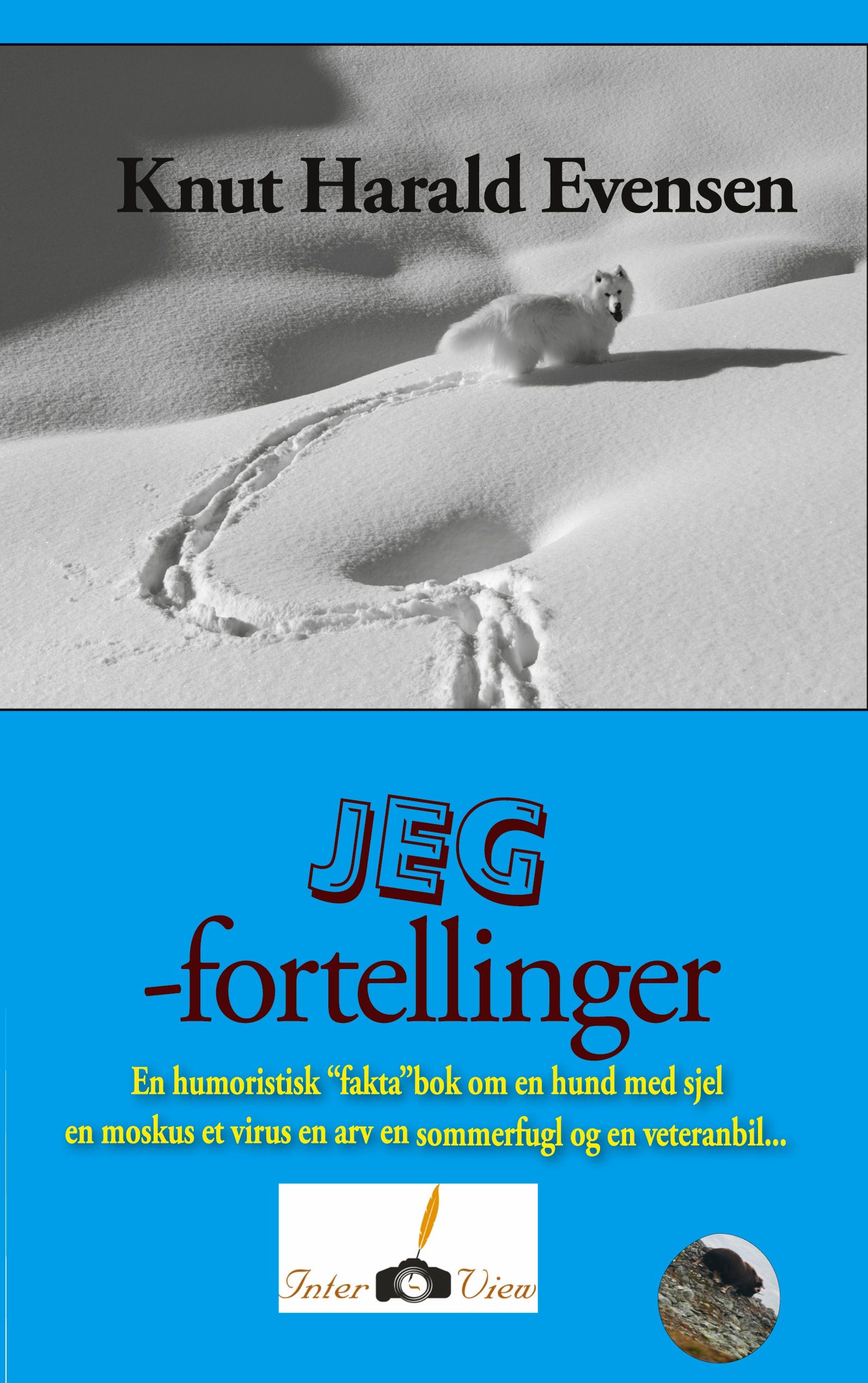 Jeg-fortellinger - en humoristisk
