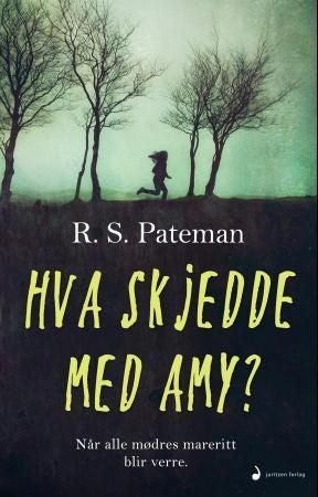 Hva skjedde med Amy? - roman