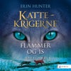Flammer og is