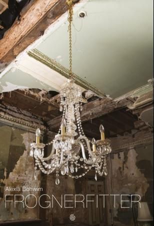 Frognerfitter - roman