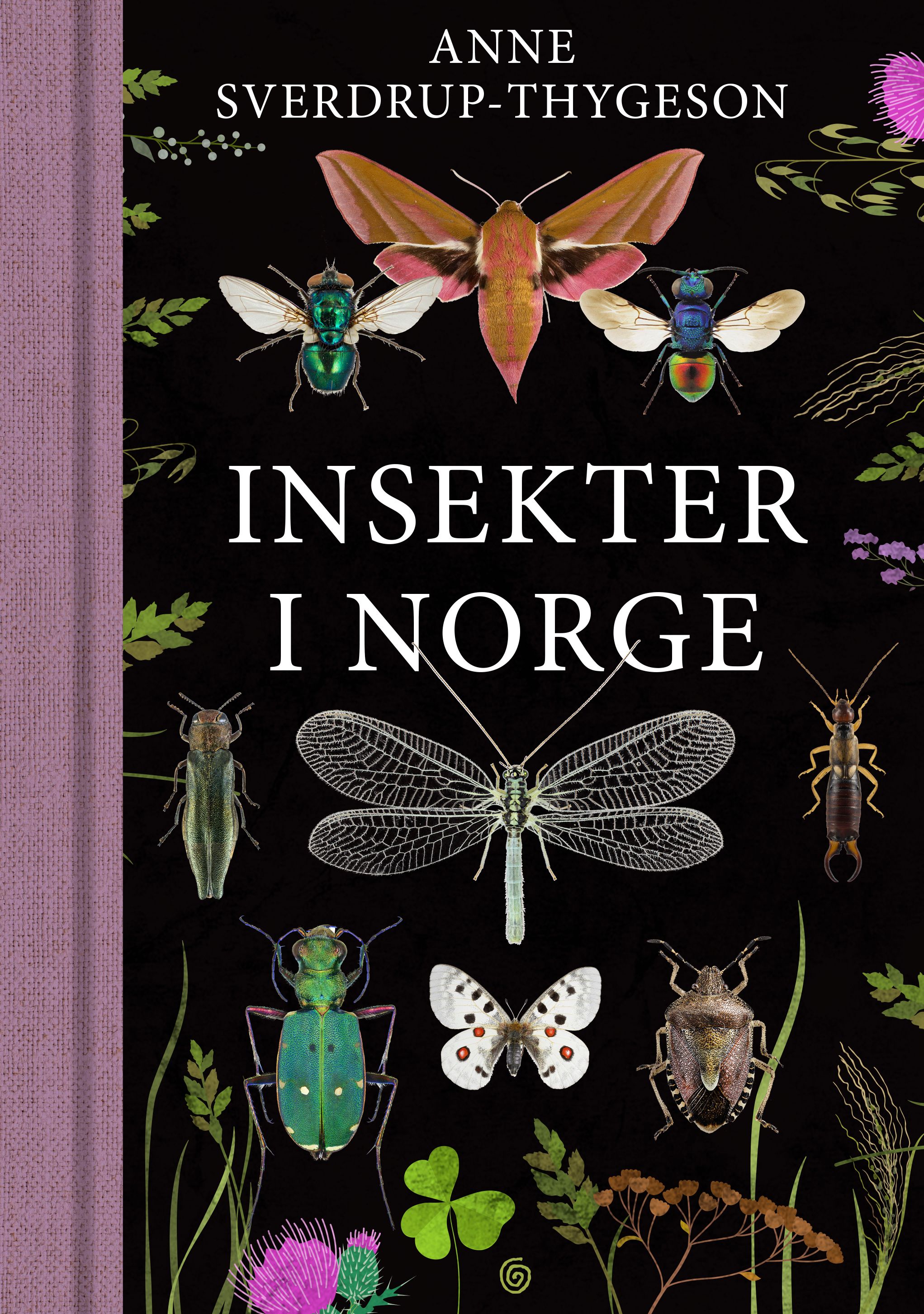 Insekter i Norge